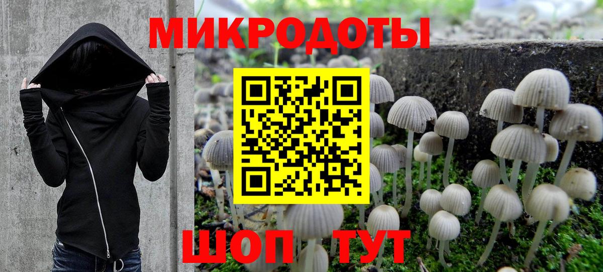 Галлюциногенные грибы мухоморы Ухта